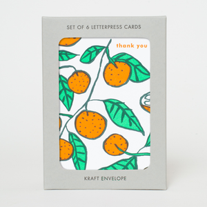 Citrus Thank You Greeting Card Box Set
