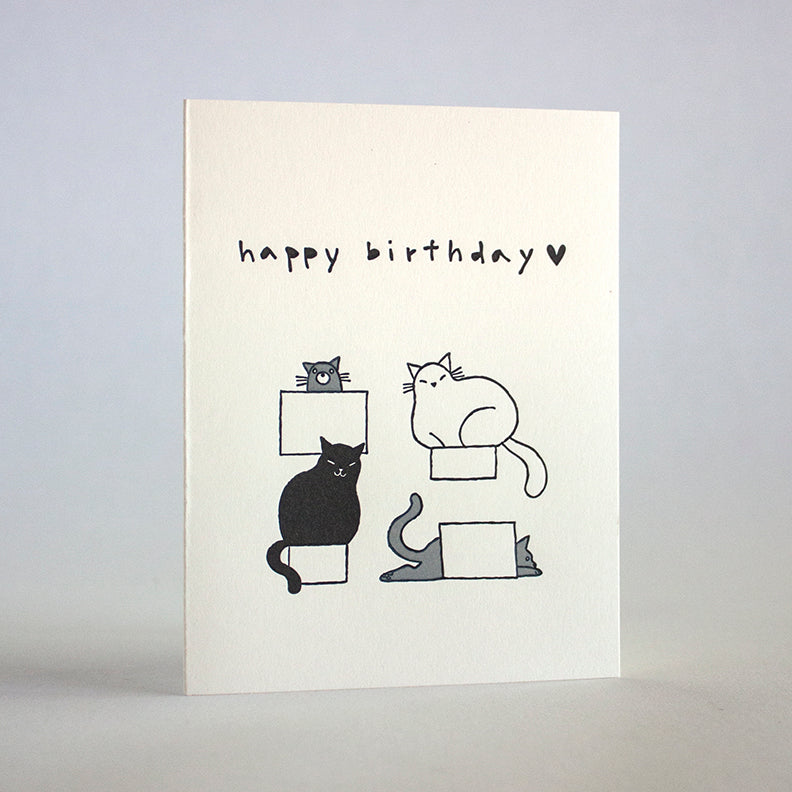 Birthday Cats in Boxes card by Fugu Fugu Press