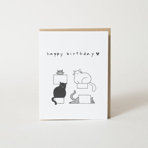 Birthday Cats in Boxes card by Fugu Fugu Press